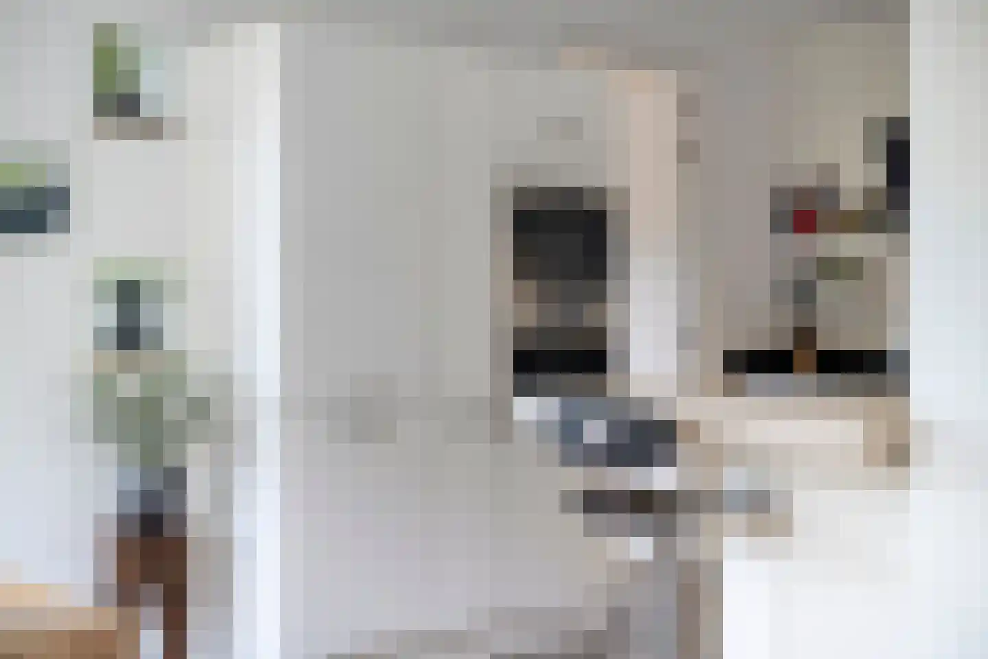 Keeriet 2 Bornerbroek thumbnail 14