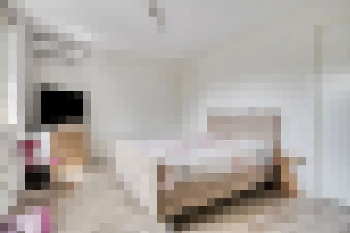 Keeriet 2 Bornerbroek thumbnail 17