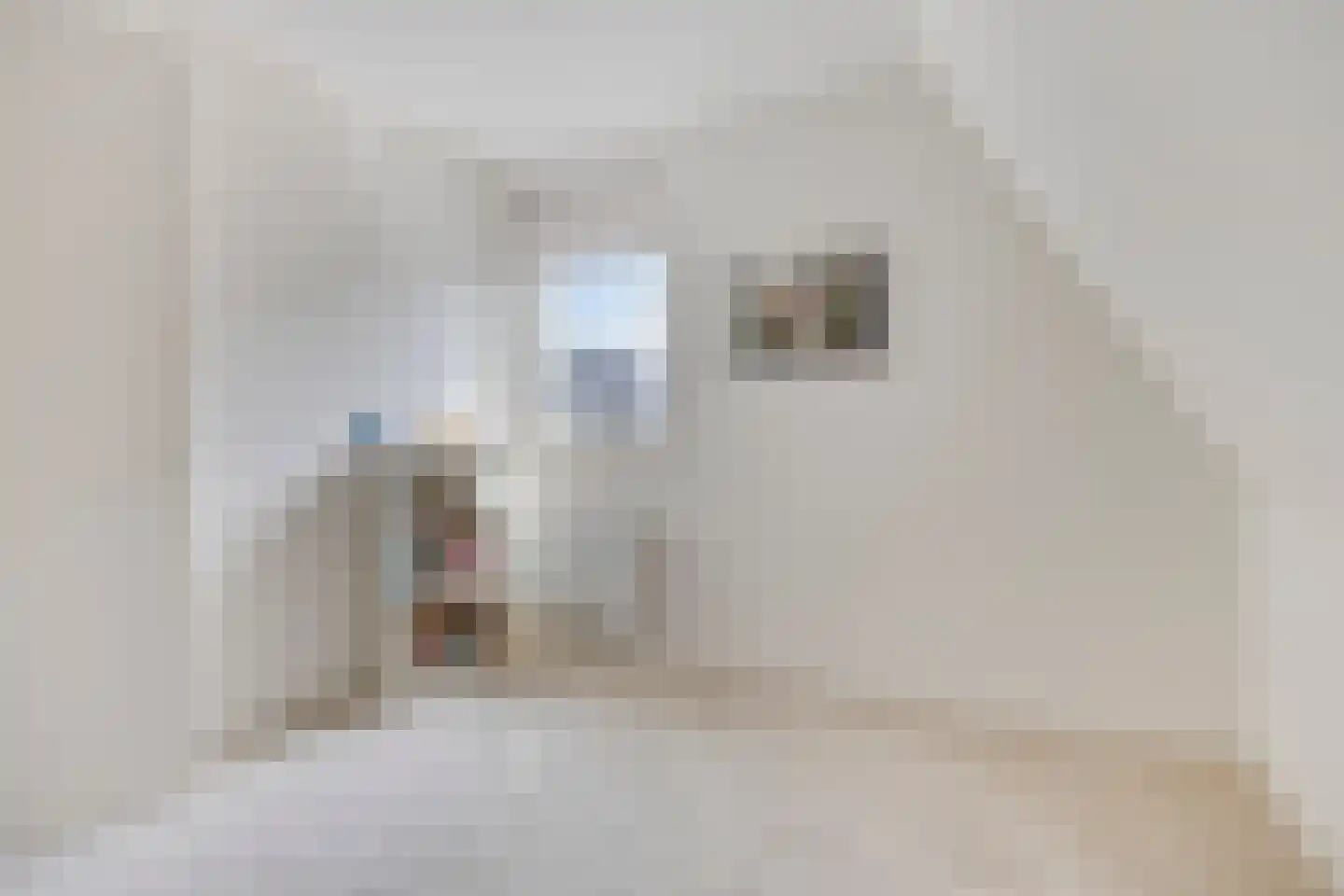 Keeriet 2 Bornerbroek thumbnail 27