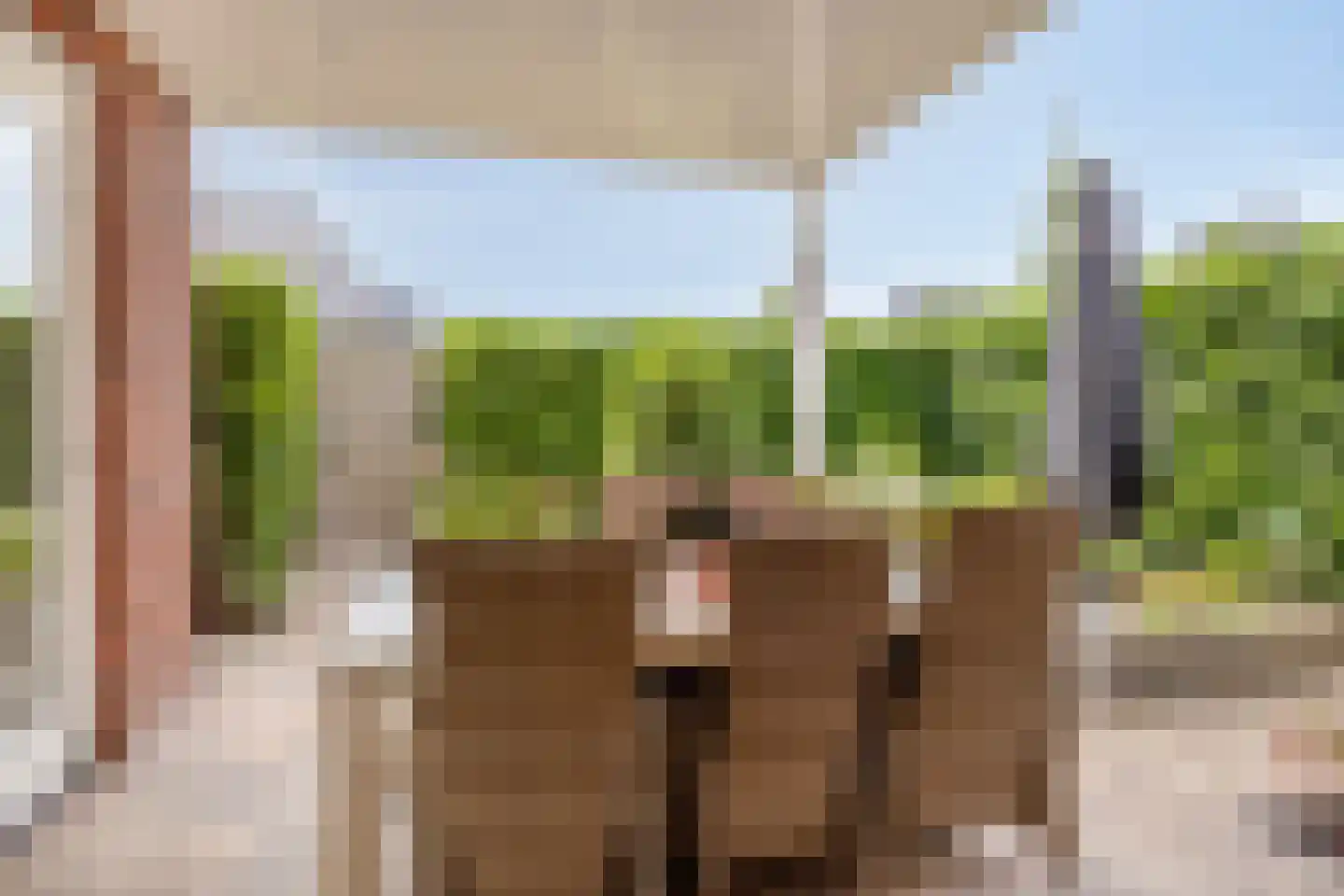 Keeriet 2 Bornerbroek thumbnail 30