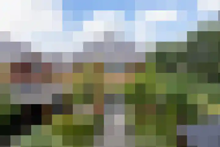 Keeriet 2 Bornerbroek thumbnail 36