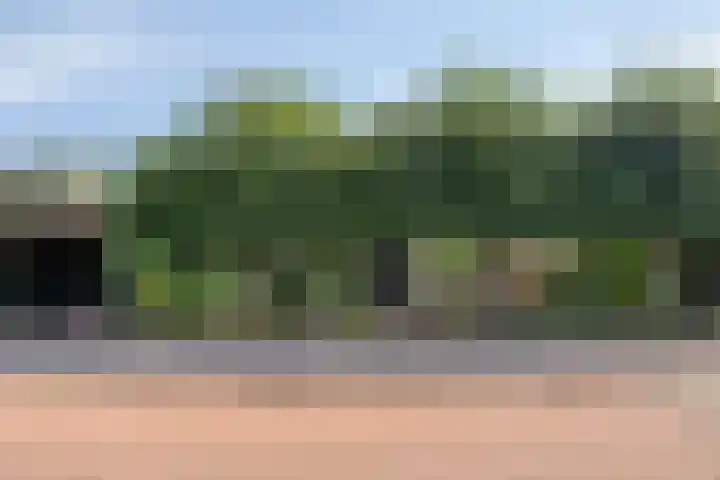Keeriet 2 Bornerbroek thumbnail 5