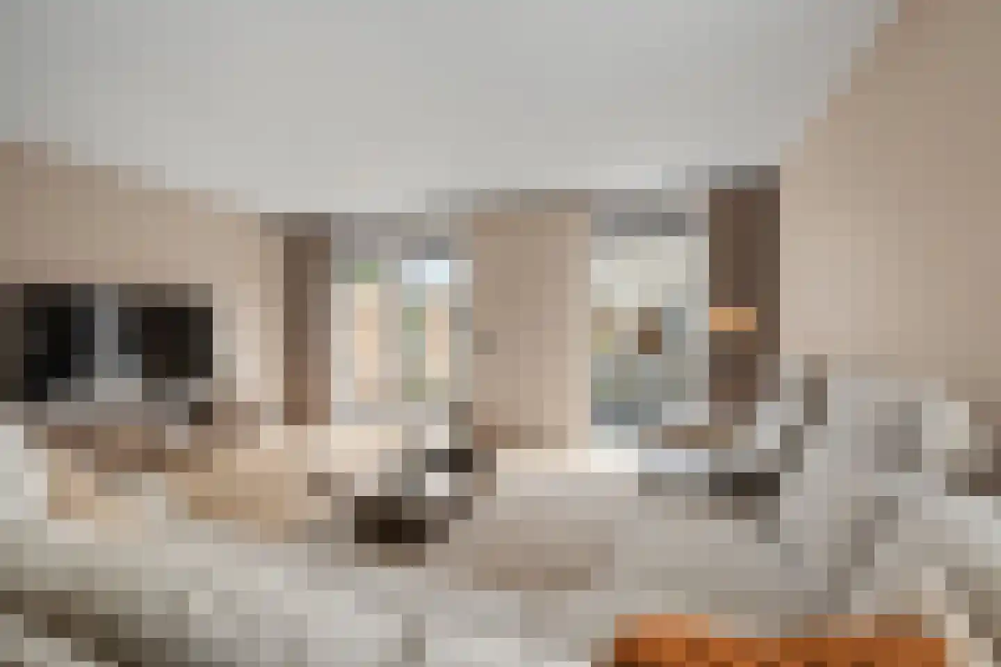 Keerkade 11 Leusden thumbnail 7