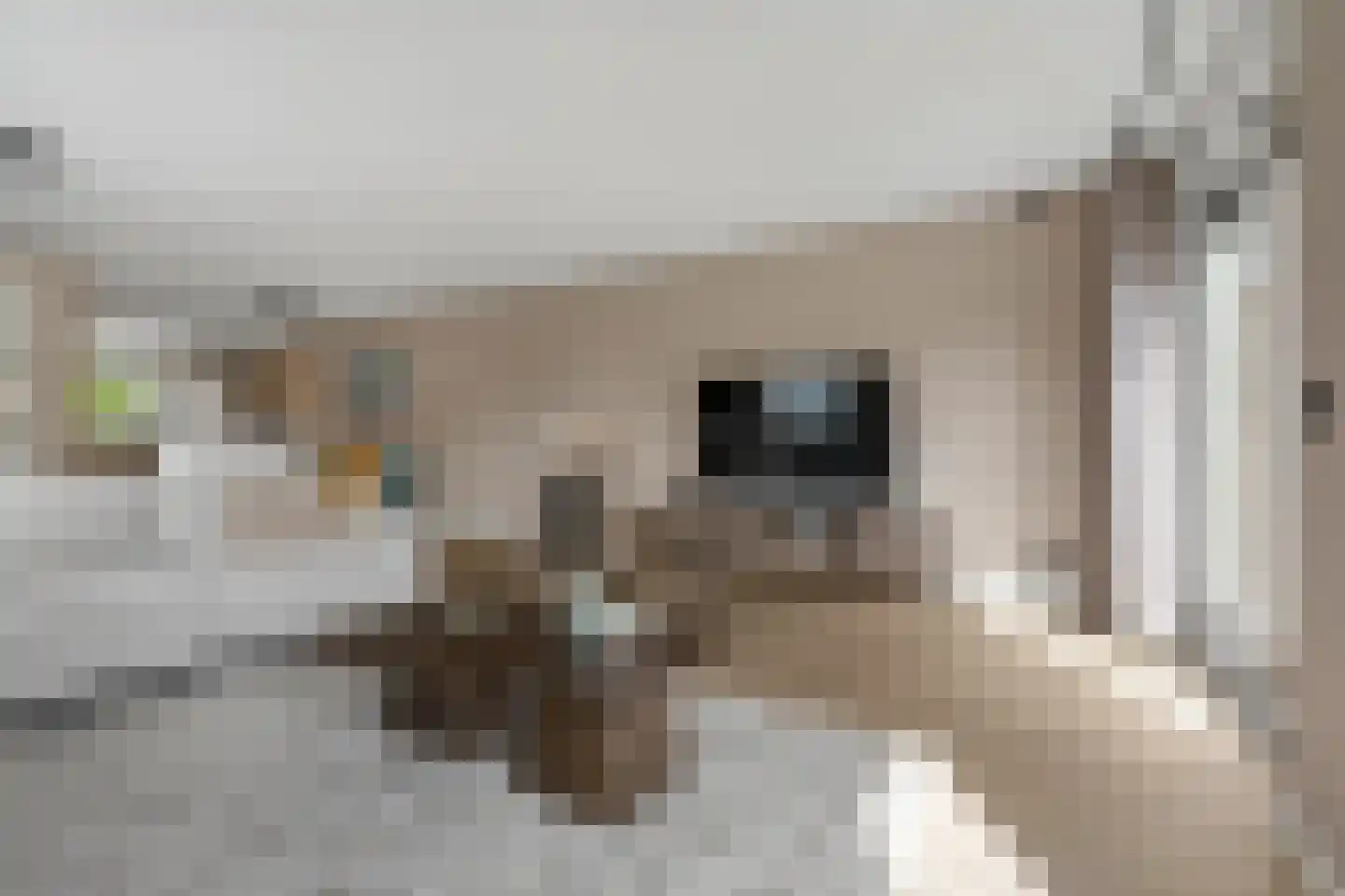 Keerkade 11 Leusden thumbnail 9