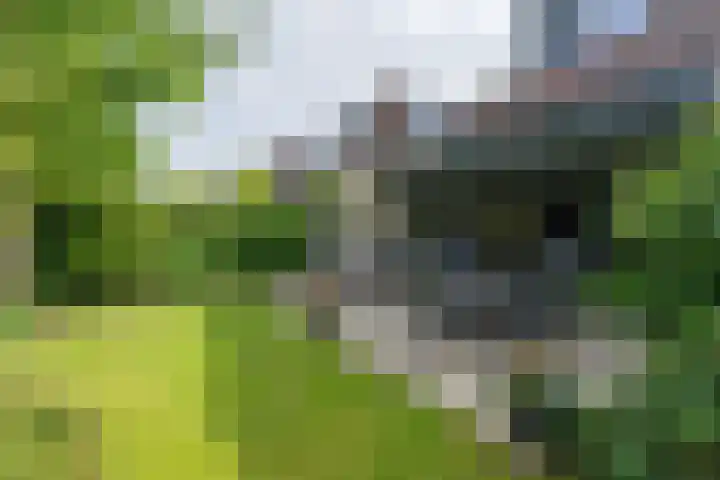 Keerkade 12 Leusden thumbnail 19