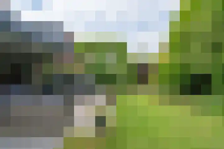 Keerkade 12 Leusden thumbnail 22