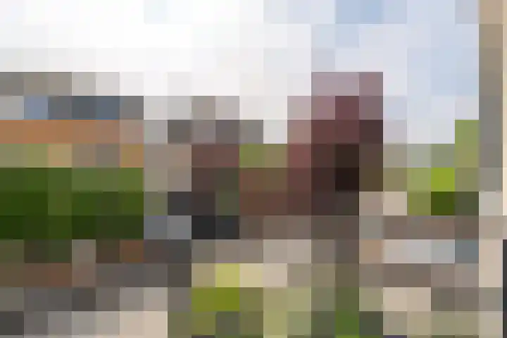 Keerkade 12 Leusden thumbnail 37