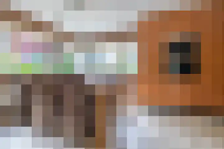 Keerkade 12 Leusden thumbnail 9