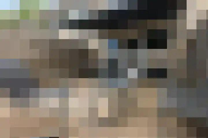 Keerkade 32 Leusden thumbnail 25