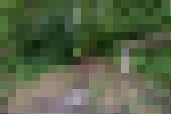 Keerkade 32 Leusden thumbnail 28