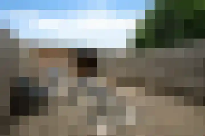Keerkade 32 Leusden thumbnail 4