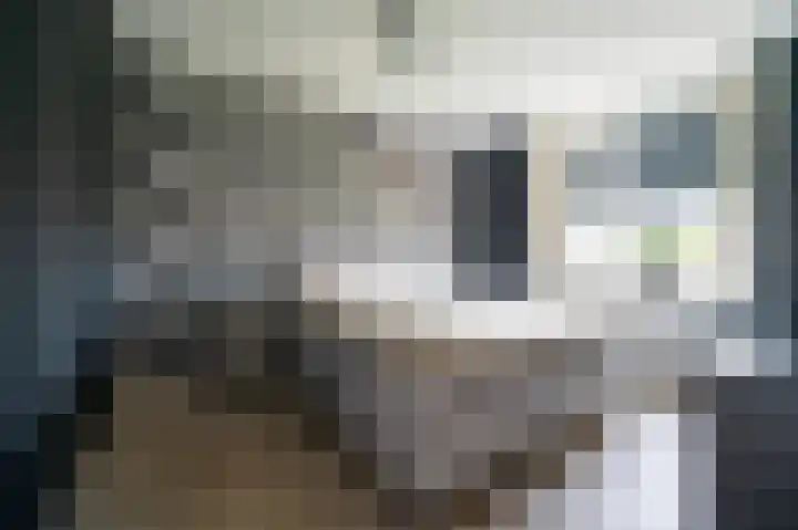 Keerklos 2 Nunspeet thumbnail 19
