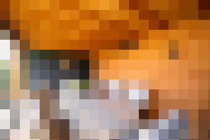 Keerklos 2 Nunspeet thumbnail 28
