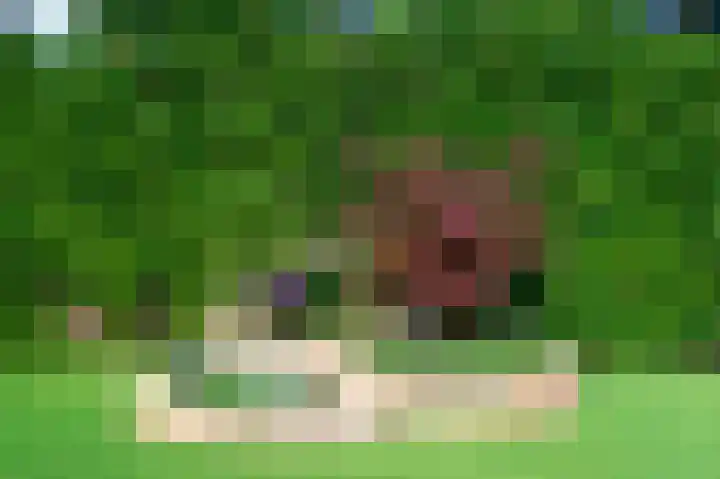 Keerklos 2 Nunspeet thumbnail 29