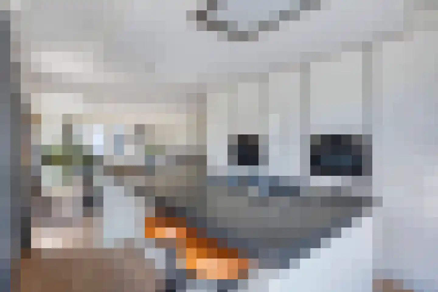 Keerkring 1 Heerhugowaard thumbnail 23