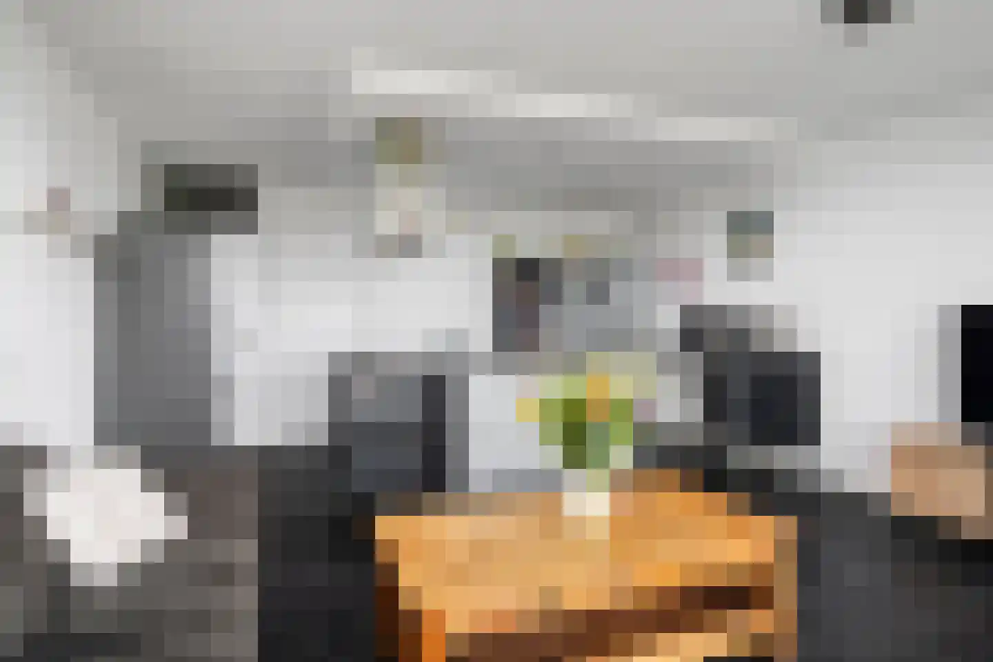 Keerkring 122 Capelle aan den IJssel thumbnail 13