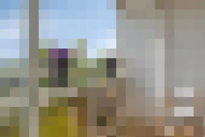Keerkring 124 Capelle aan den IJssel thumbnail 19