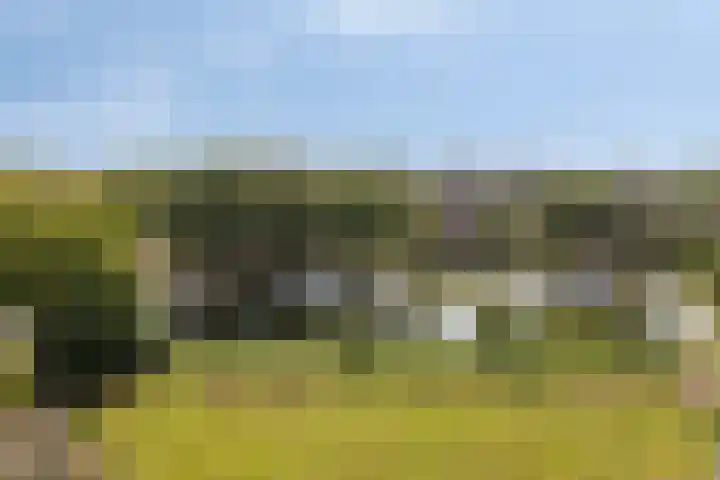 Keerkring 124 Capelle aan den IJssel thumbnail 21
