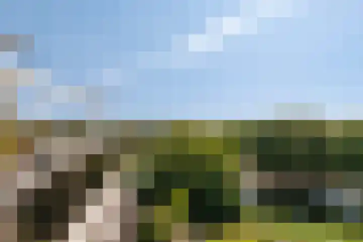 Keerkring 124 Capelle aan den IJssel thumbnail 22