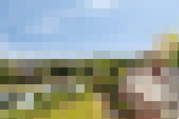 Keerkring 124 Capelle aan den IJssel thumbnail 23
