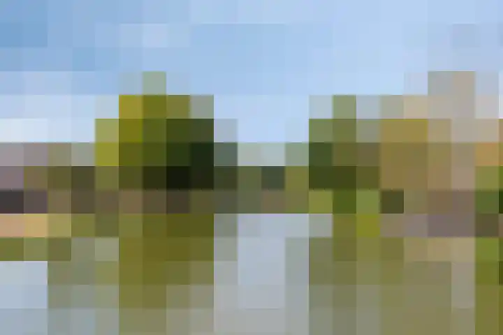 Keerkring 124 Capelle aan den IJssel thumbnail 32