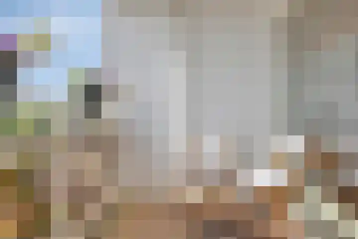 Keerkring 124 Capelle aan den IJssel thumbnail 4