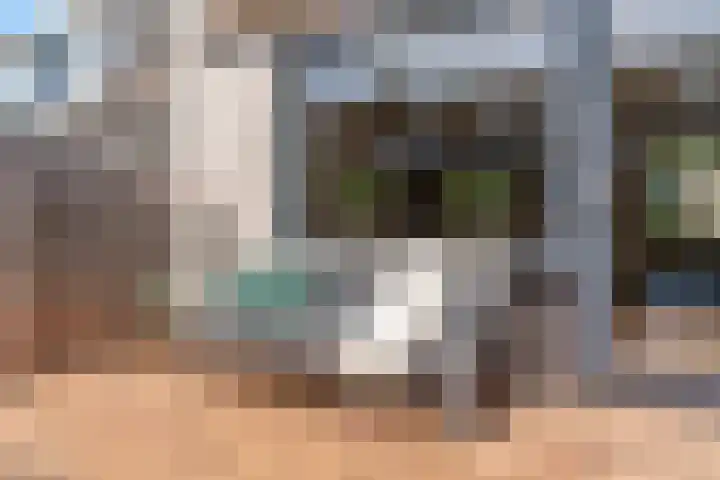 Keerkring 124 De Meern thumbnail 21