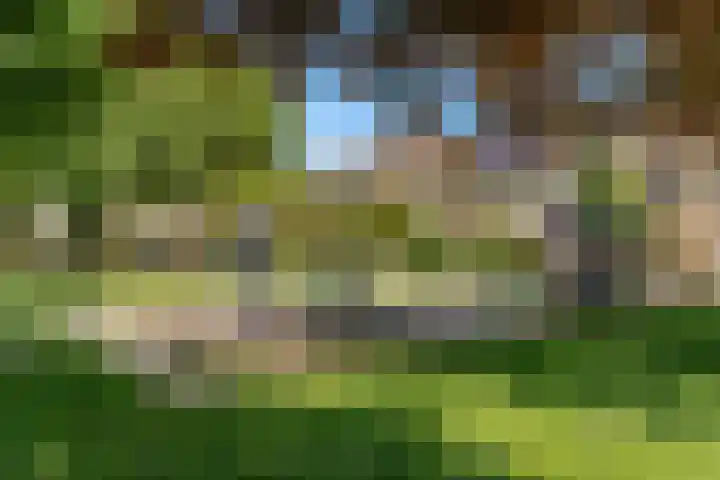 Keerkring 124 De Meern thumbnail 22