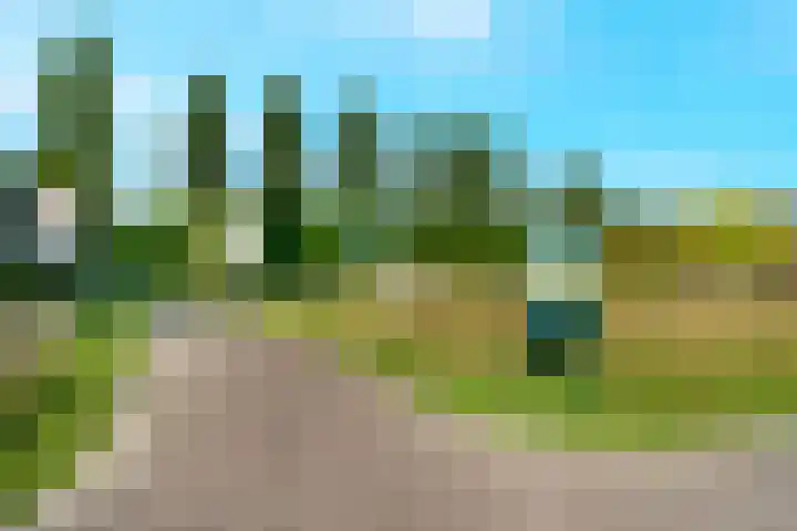 Keerkring 124 De Meern thumbnail 24