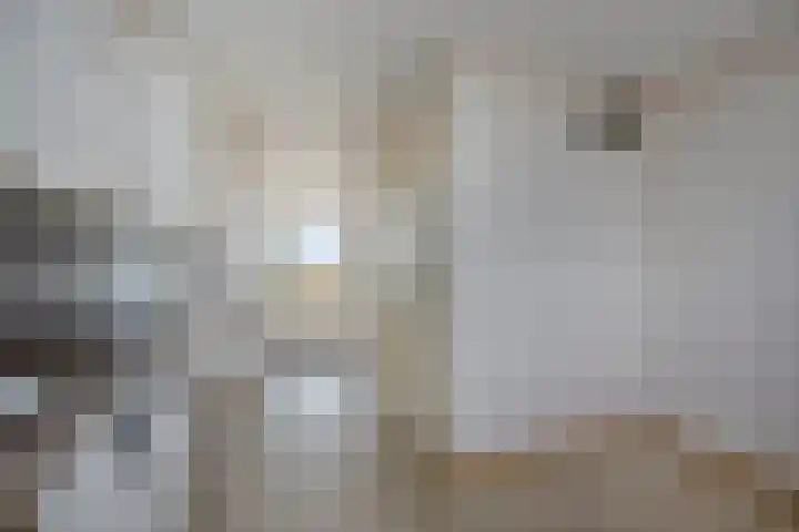 Keerkring 127 Capelle aan den IJssel thumbnail 12