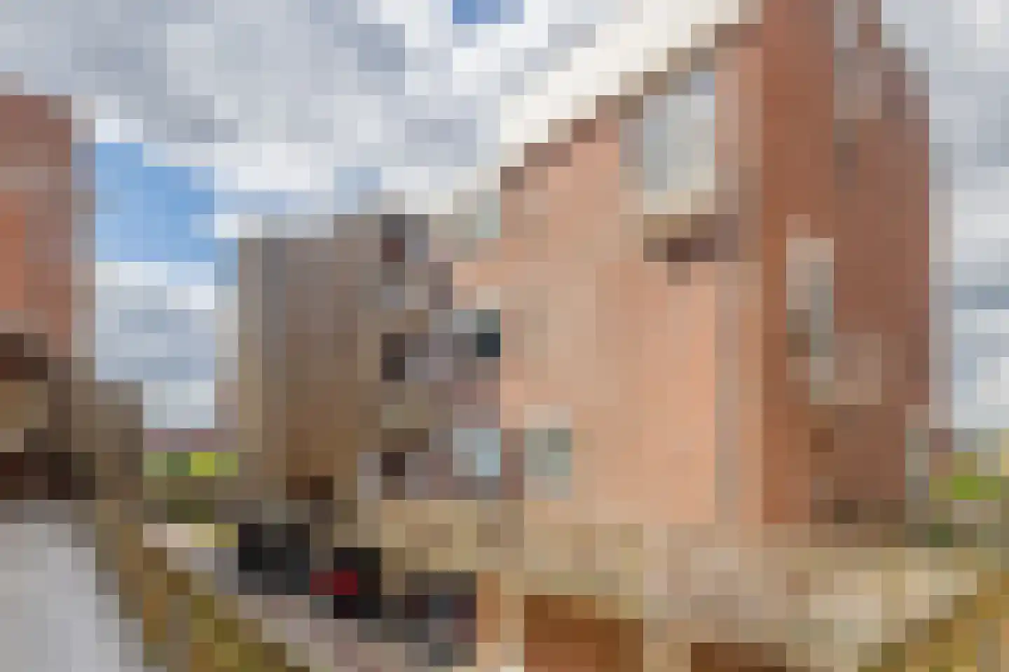 Keerkring 139 Capelle aan den IJssel thumbnail 7
