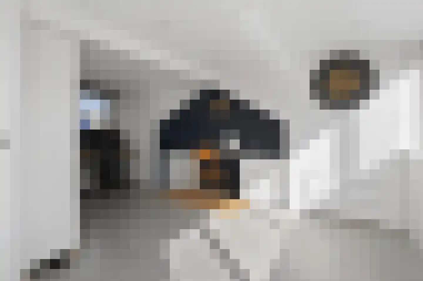 Keerkring 14 De Meern thumbnail 27