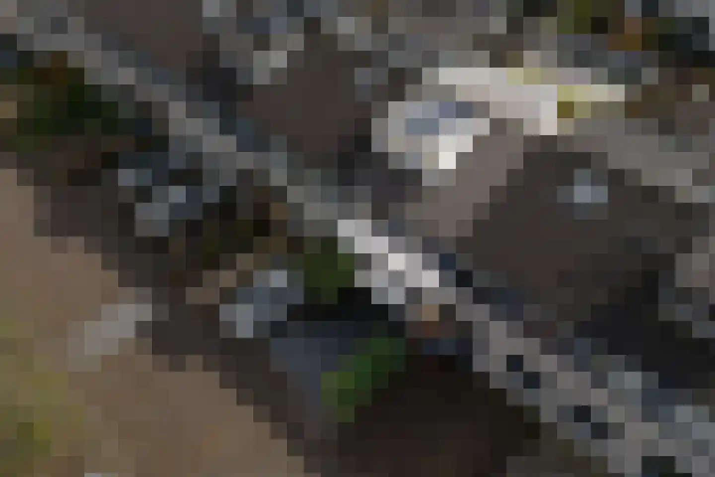 Keerkring 14 De Meern thumbnail 34