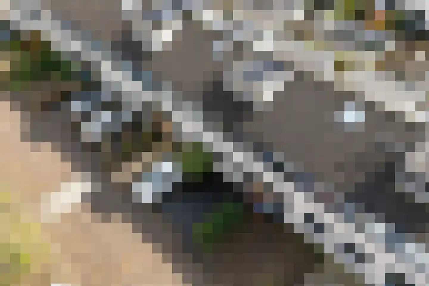 Keerkring 14 De Meern thumbnail 35