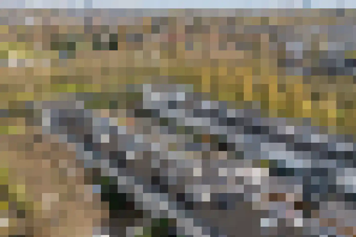 Keerkring 14 De Meern thumbnail 37