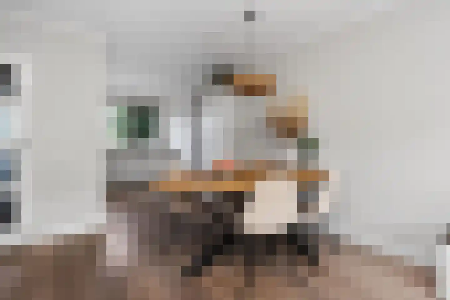 Keerkring 14 De Meern thumbnail 4
