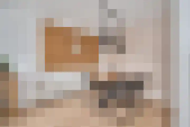 Keerkring 140 Capelle aan den IJssel thumbnail 12