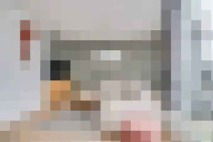 Keerkring 140 Capelle aan den IJssel thumbnail 7