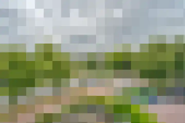 Keerkring 140 Capelle aan den IJssel thumbnail 9