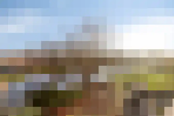 Keerkring 148 Capelle aan den IJssel thumbnail 7