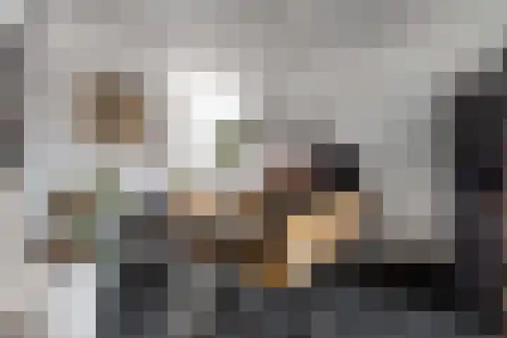 Keerkring 151 Capelle aan den IJssel thumbnail 11