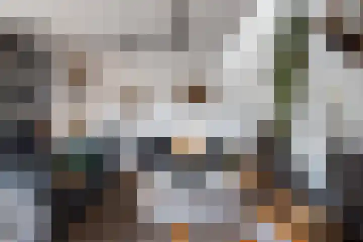 Keerkring 151 Capelle aan den IJssel thumbnail 16