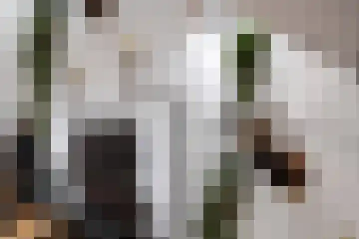 Keerkring 151 Capelle aan den IJssel thumbnail 18