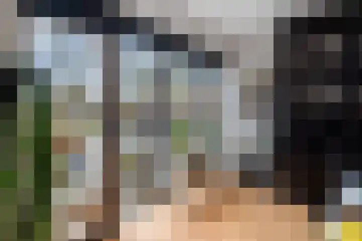 Keerkring 151 Capelle aan den IJssel thumbnail 23