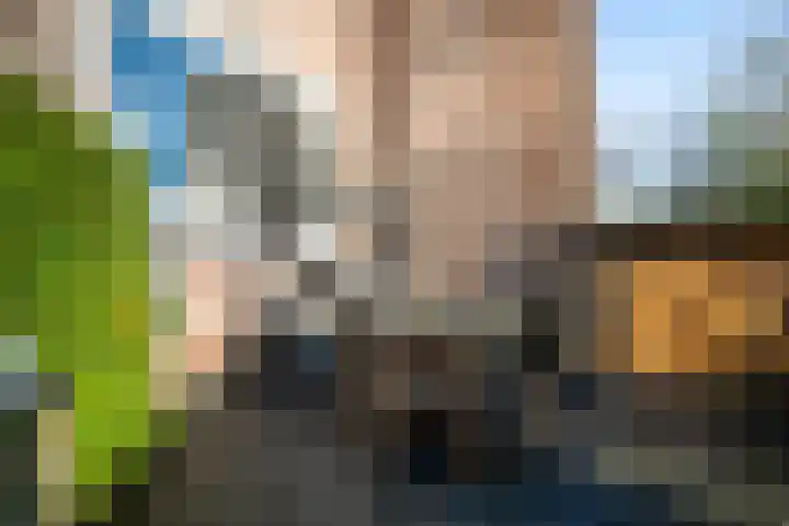 Keerkring 151 Capelle aan den IJssel thumbnail 24