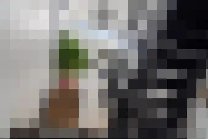 Keerkring 151 Capelle aan den IJssel thumbnail 31