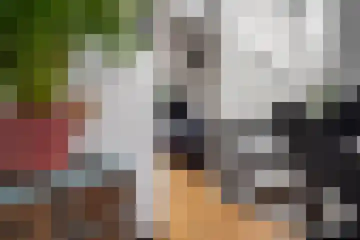 Keerkring 151 Capelle aan den IJssel thumbnail 32