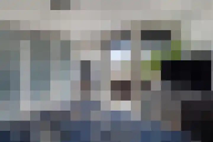 Keerkring 151 Capelle aan den IJssel thumbnail 35