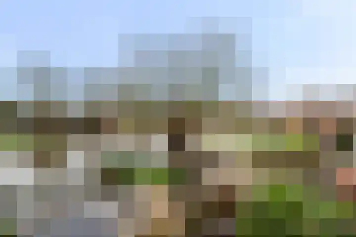 Keerkring 151 Capelle aan den IJssel thumbnail 38