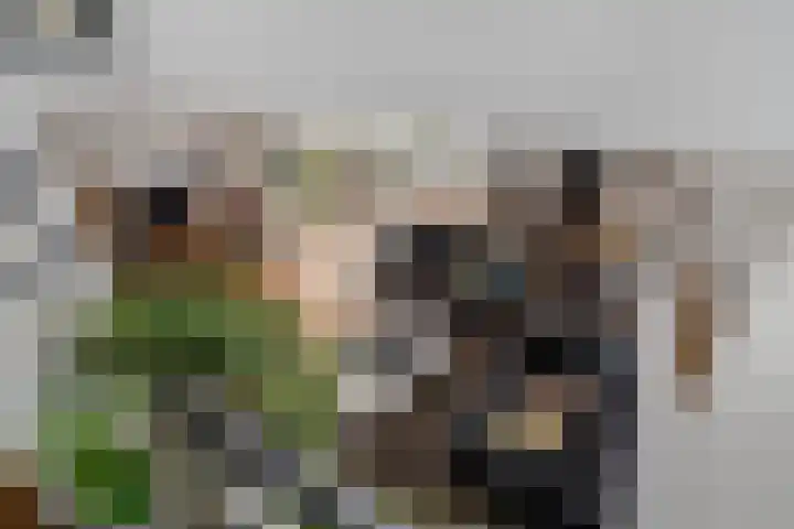 Keerkring 151 Capelle aan den IJssel thumbnail 41